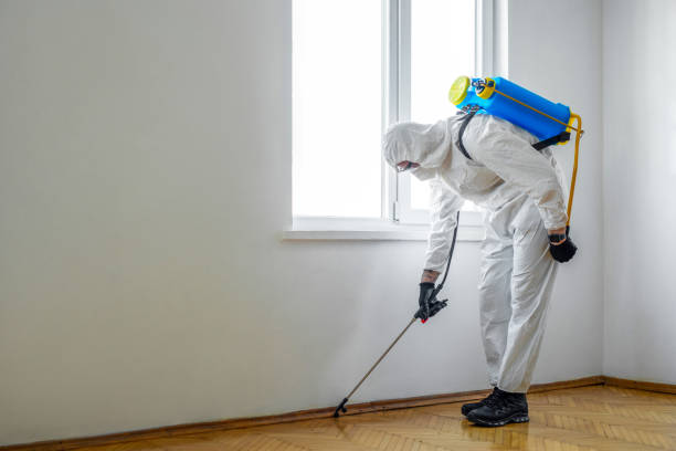 Best Pest Removal Services  in Cape May, NJ